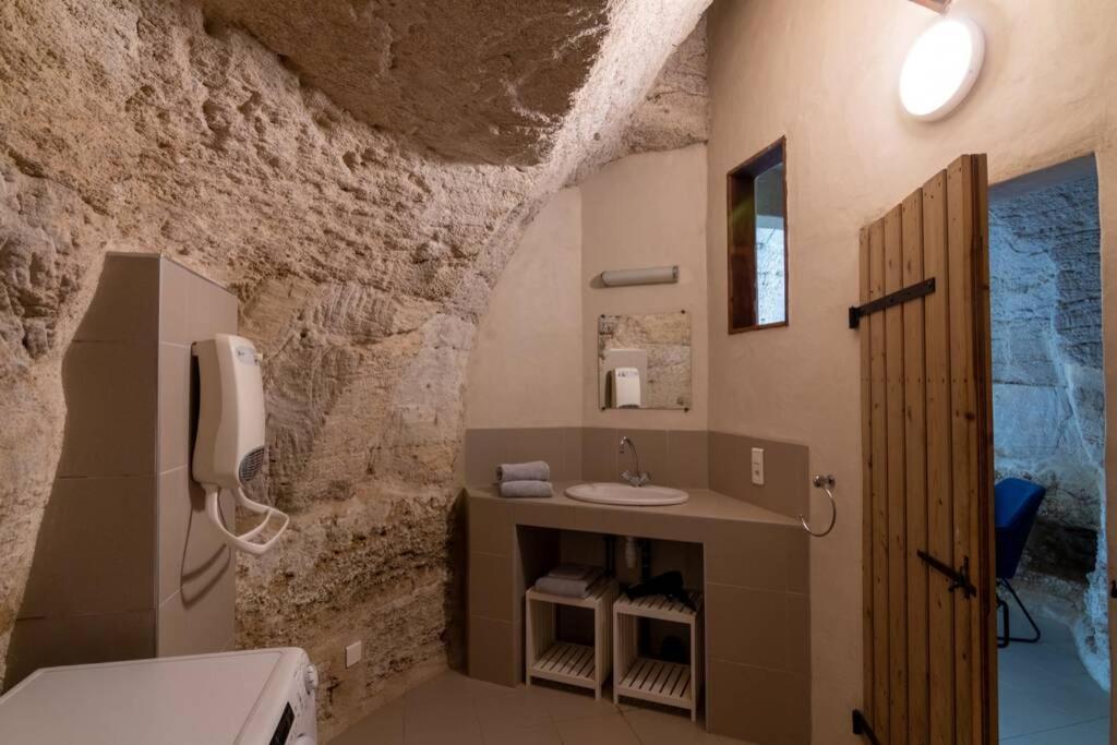 Maison Troglodytique Doue La Fontaine エクステリア 写真