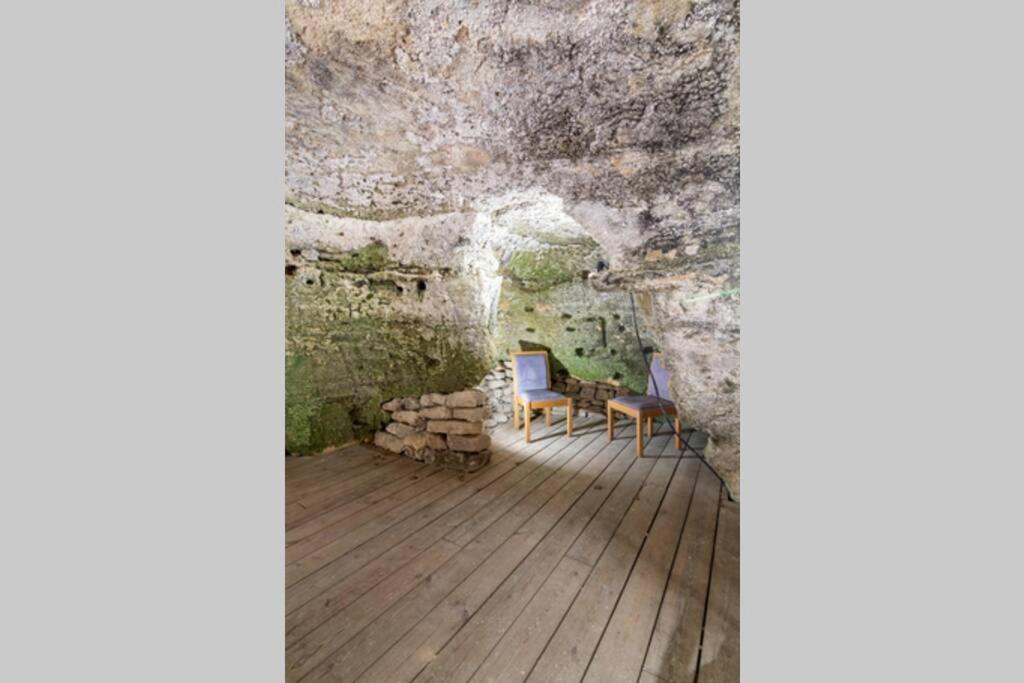 Maison Troglodytique Doue La Fontaine エクステリア 写真