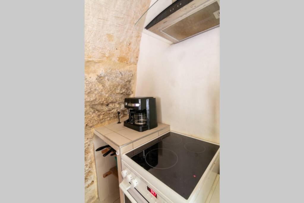 Maison Troglodytique Doue La Fontaine エクステリア 写真