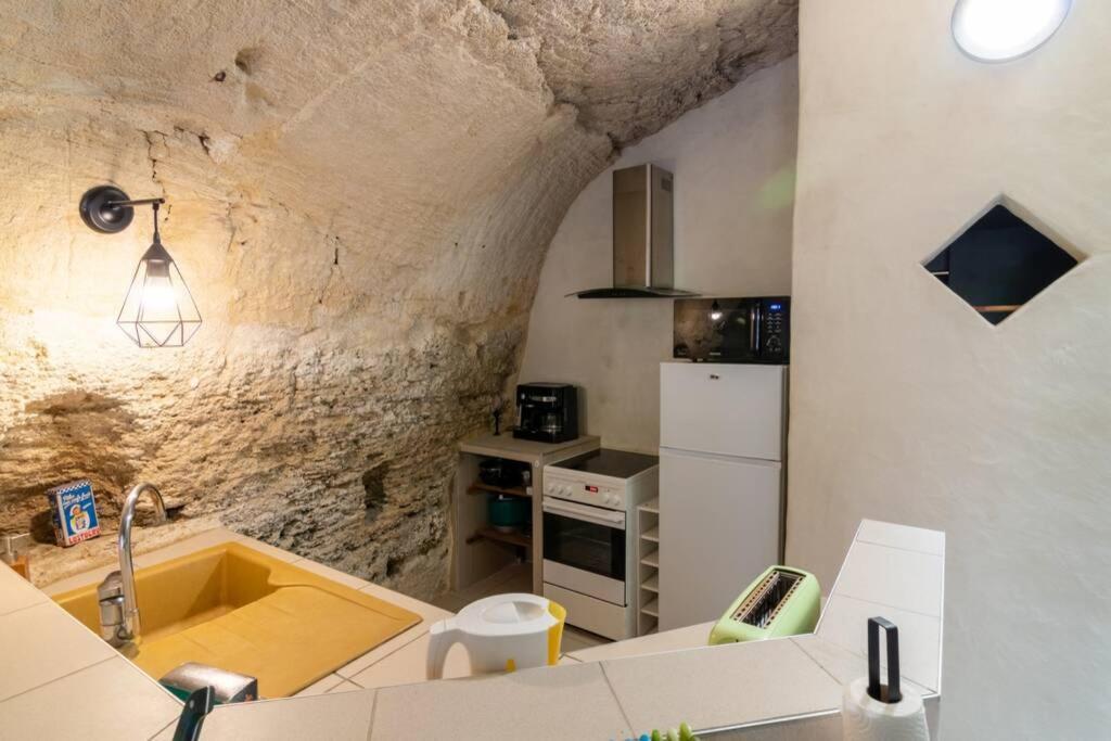 Maison Troglodytique Doue La Fontaine エクステリア 写真