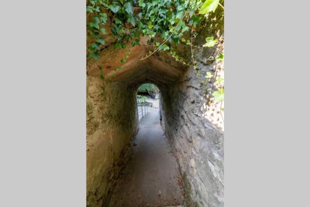 Maison Troglodytique Doue La Fontaine エクステリア 写真