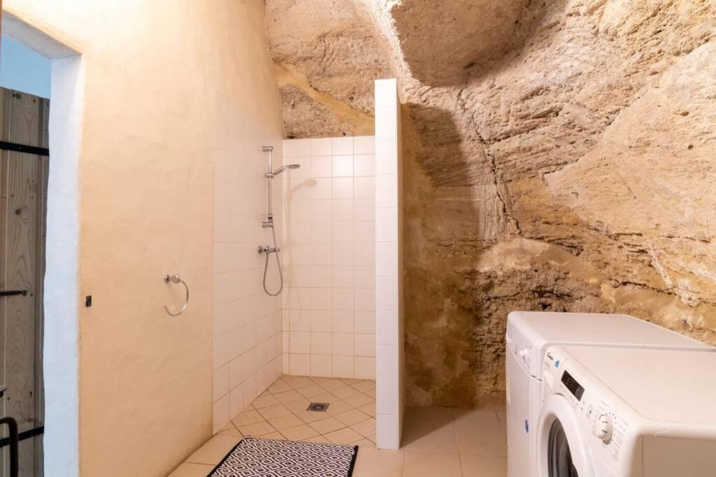 Maison Troglodytique Doue La Fontaine エクステリア 写真