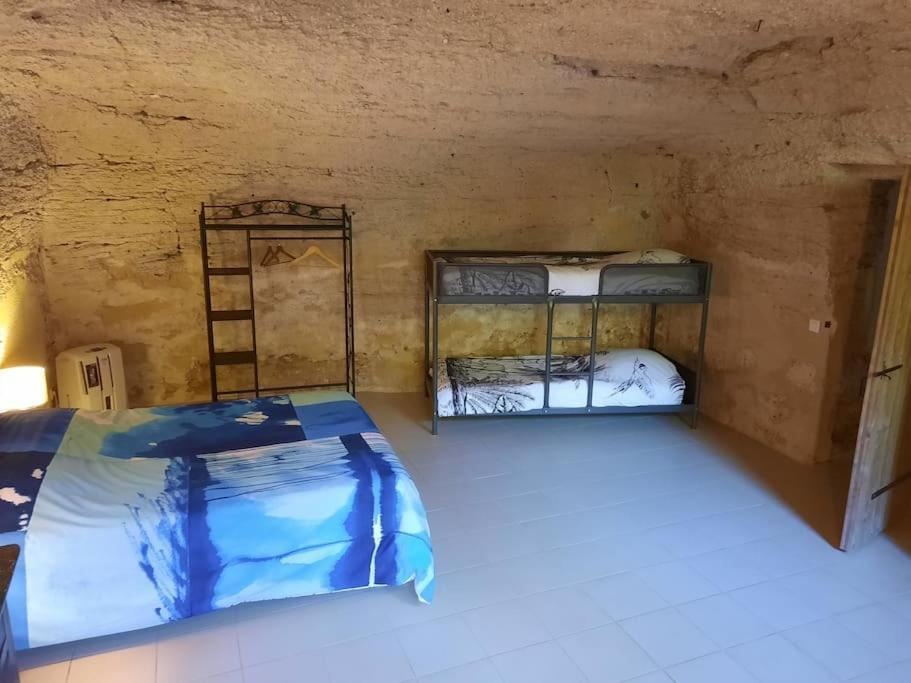 Maison Troglodytique Doue La Fontaine エクステリア 写真