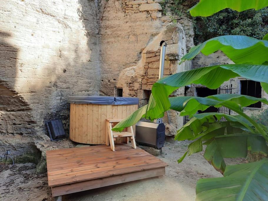 Maison Troglodytique Doue La Fontaine エクステリア 写真